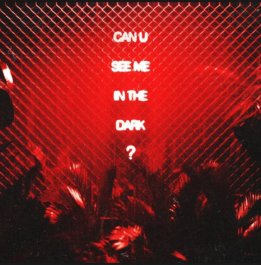 Halestorm & I Prevail - can u see me in the dark? - xLights Sequence