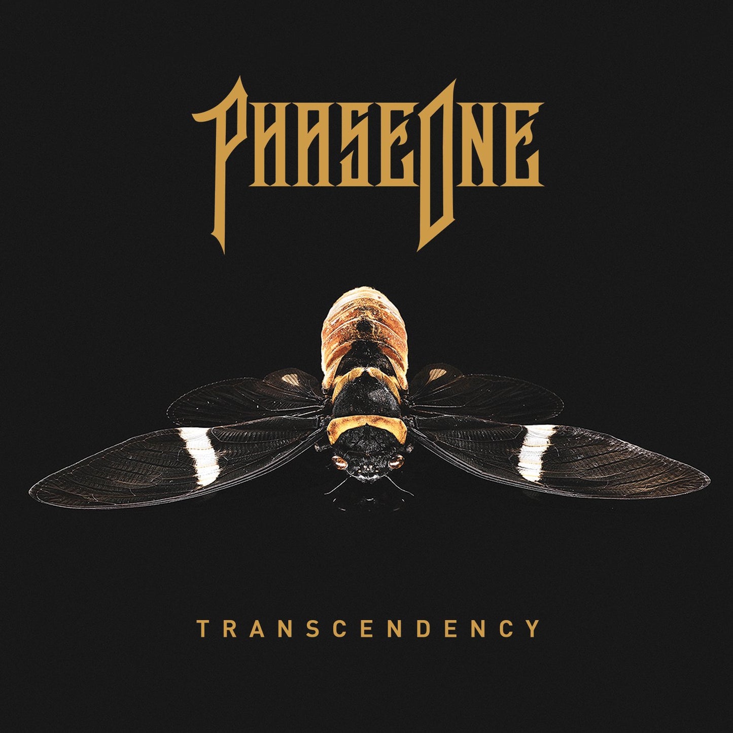 PhaseOne feat. Northlane - Crash & Burn xLights Sequence